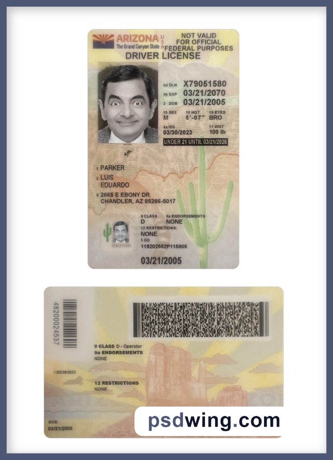 USA Arizona Under 21 Driving License 2023-Present